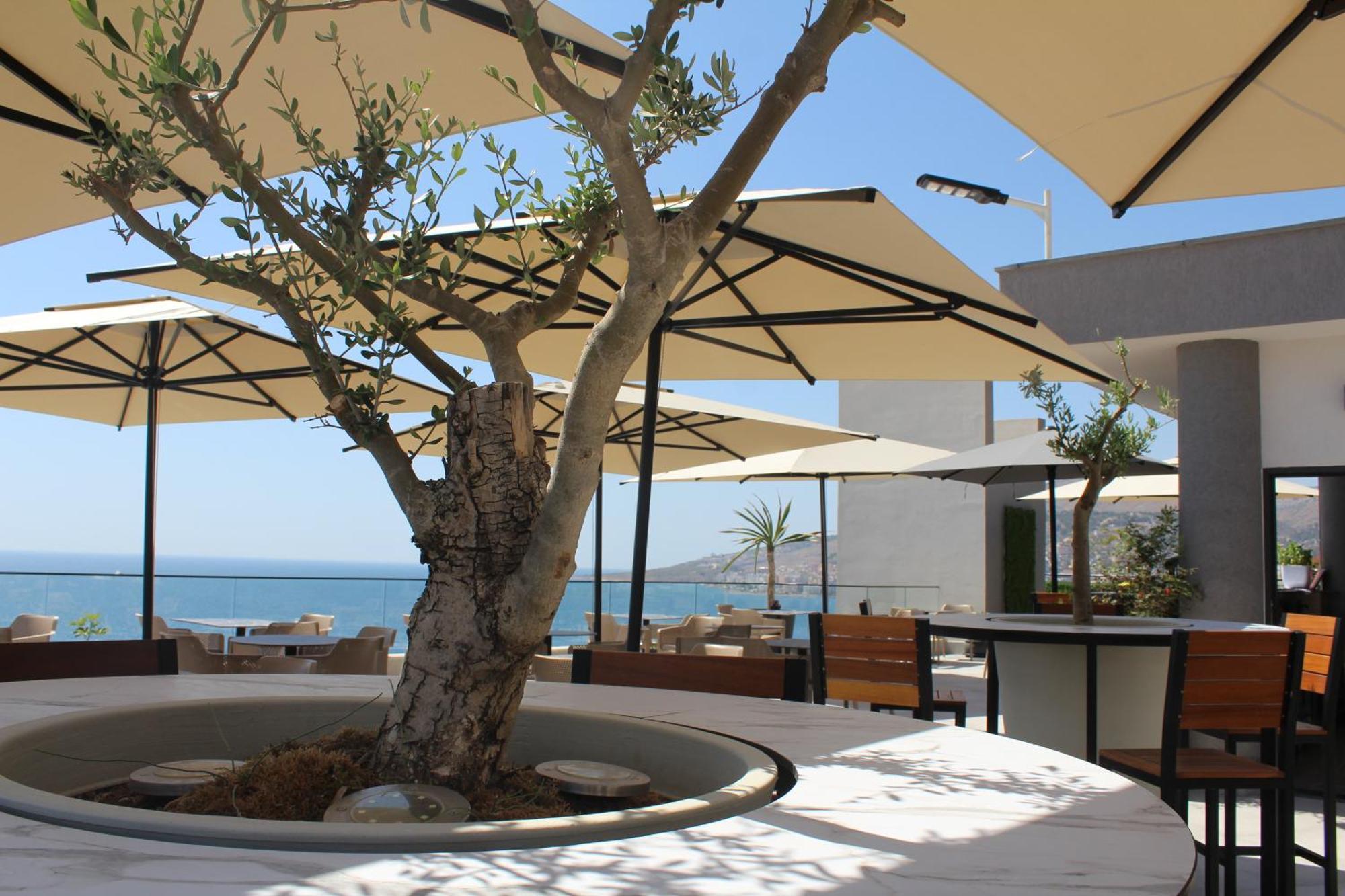 The Queen's Lion Premium Saranda